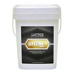 Lifeline + Equine Horse Supplement  Stride Animal Health